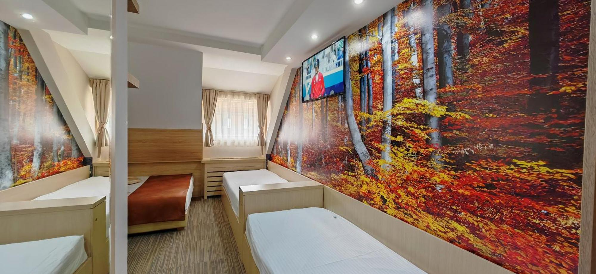 Apartmán Angella Kop Konaci Kopaonik Pokoj fotografie