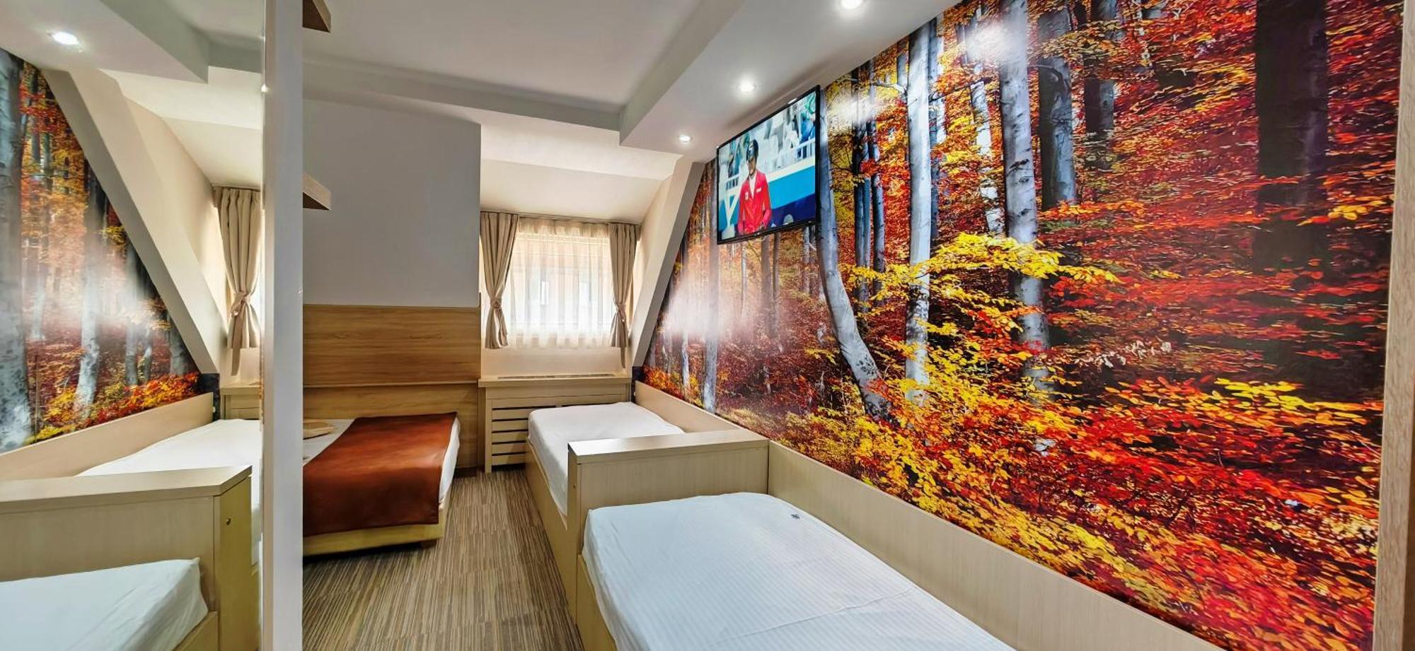 Apartmán Angella Kop Konaci Kopaonik Pokoj fotografie